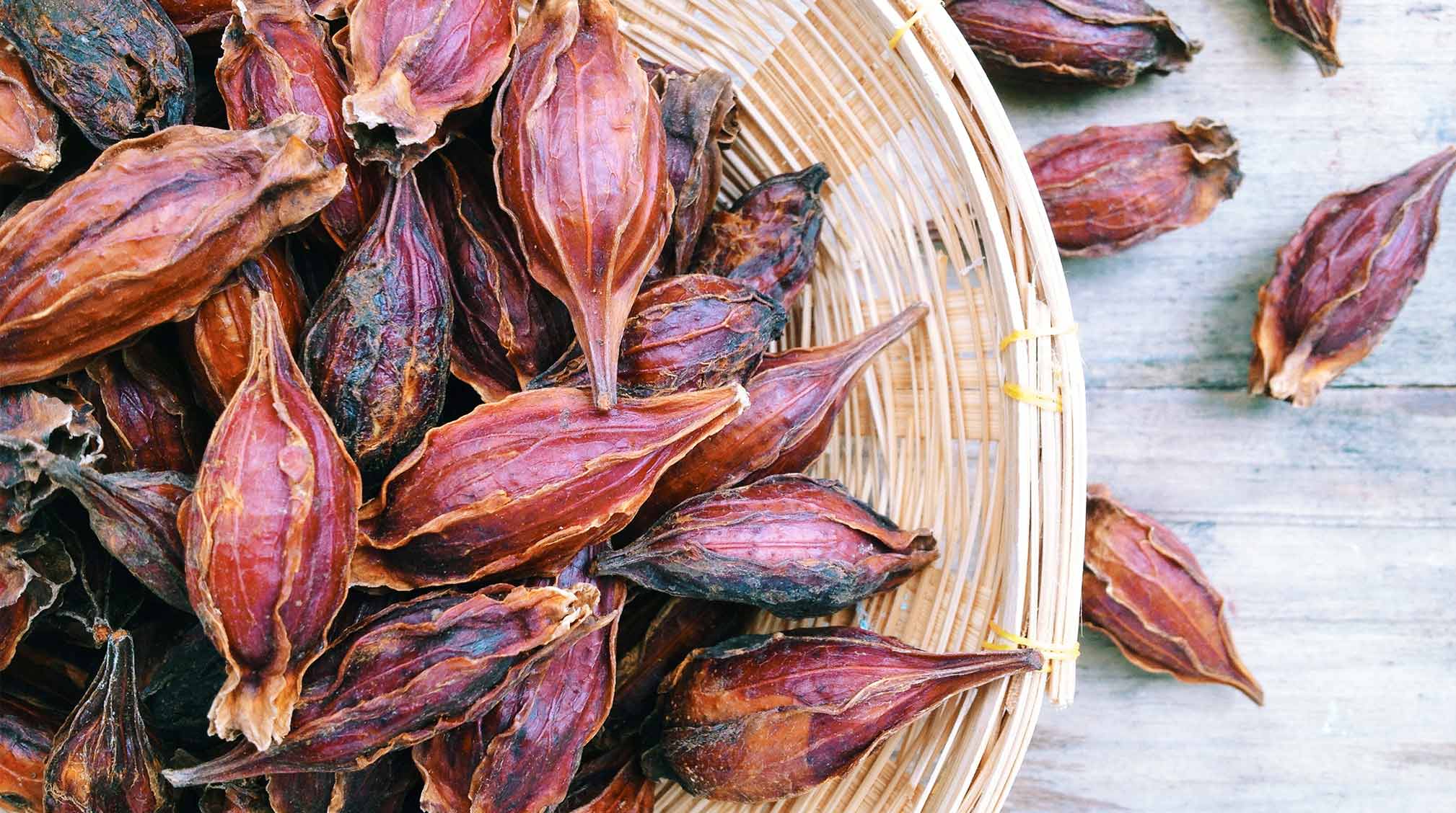 Gardenia Florida Fruit Extract: Your Secret Weapon for Brighter Skin