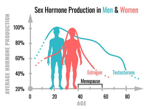 Sex hormone production